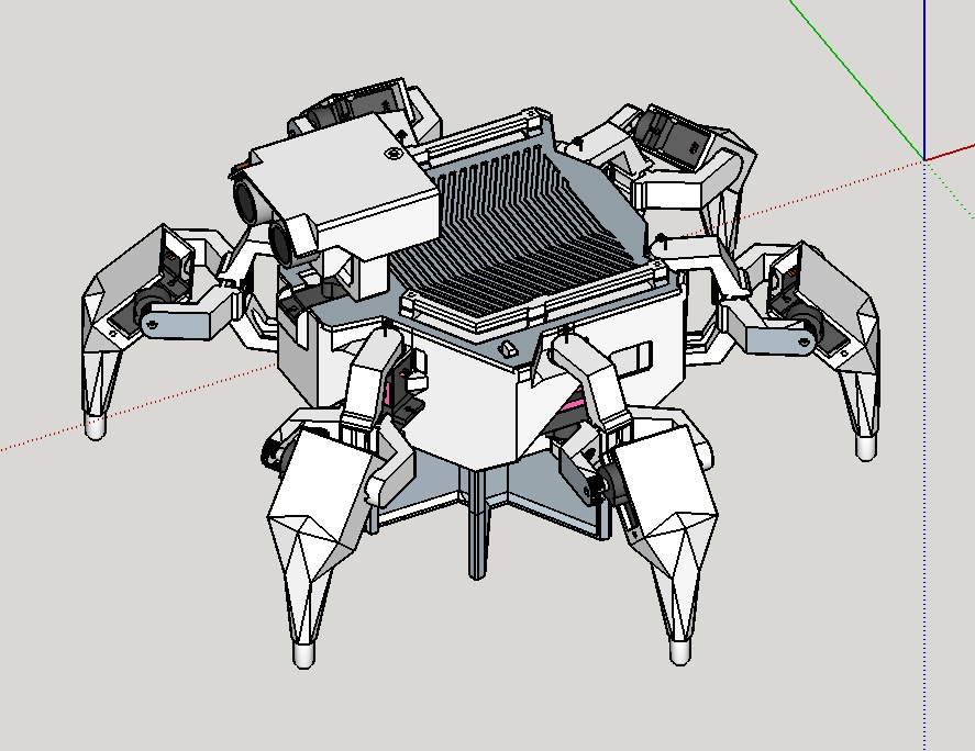 Hexapod walking Robot 12+2 DOF