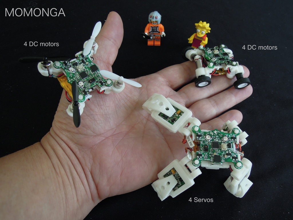 MOMONGA