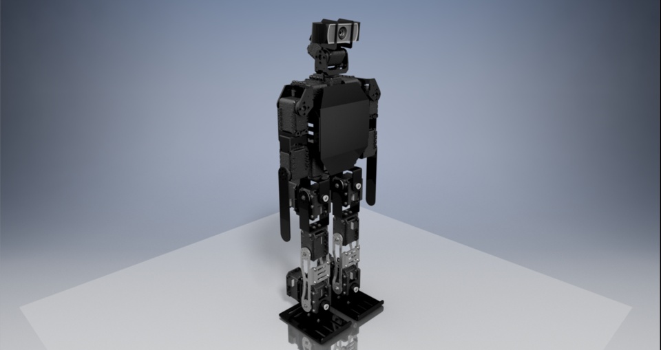 Rewa Humanoid Robot