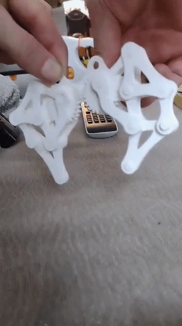 THEO JANSEN STRANDBEAST