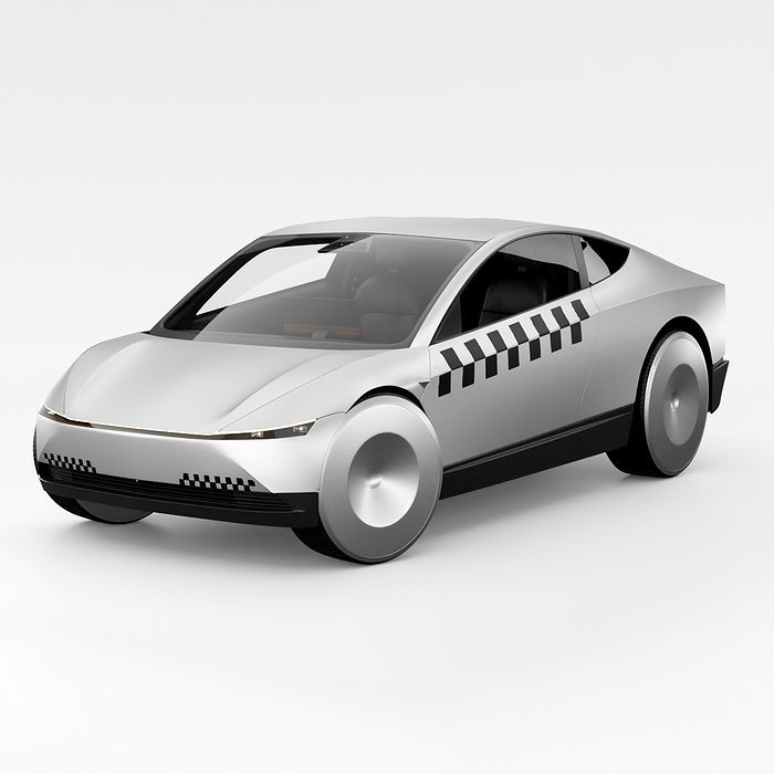 Tesla Robotaxi