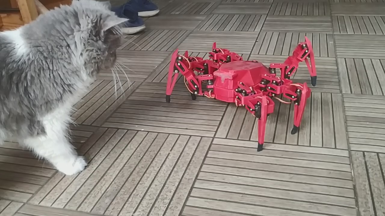 HEX ROBO V1