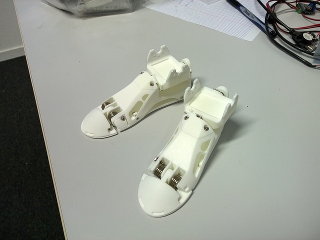 Foot humanoid robot