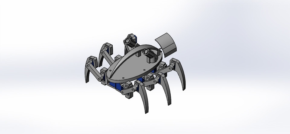 Spider robot