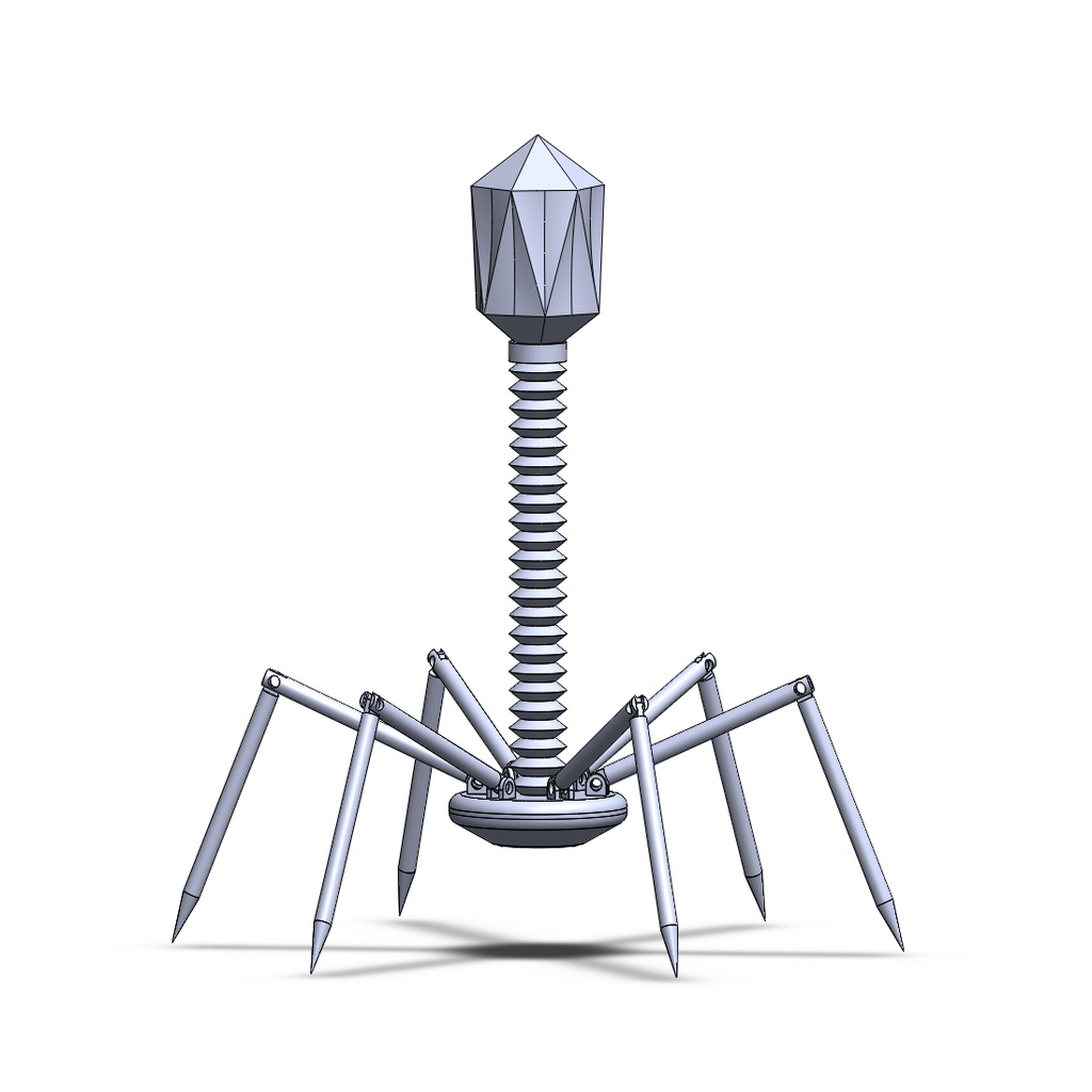 Bacteriophage Project