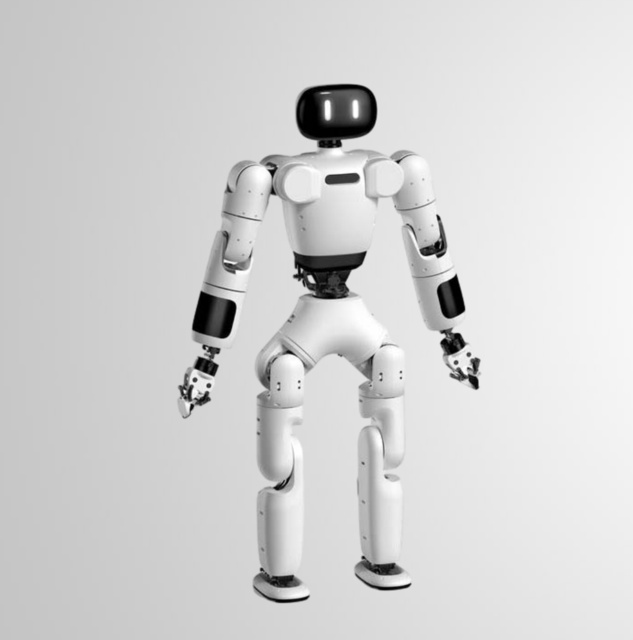 Human Robot
