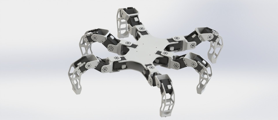 Quadruped/hexapod