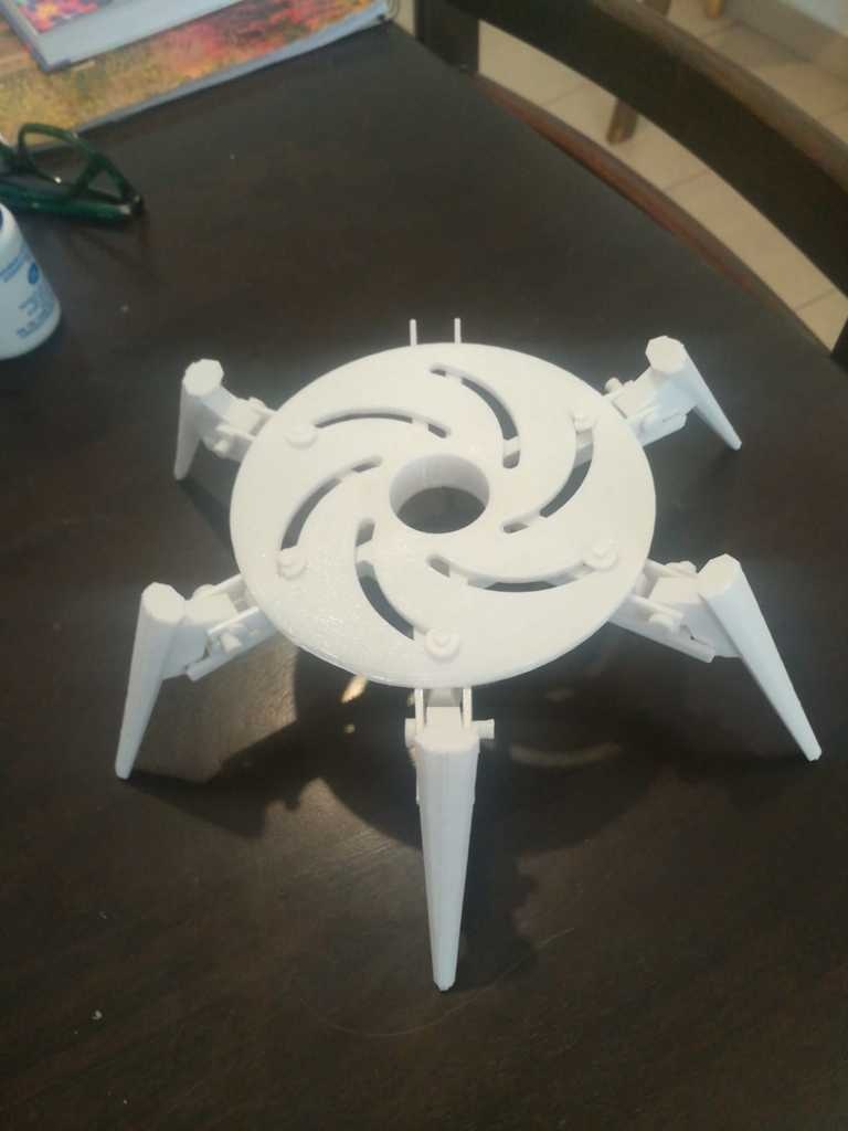 spider legs