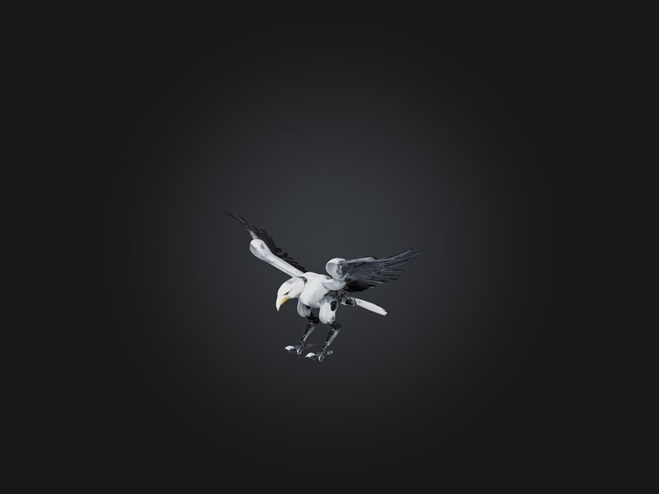 RoboEagle Model