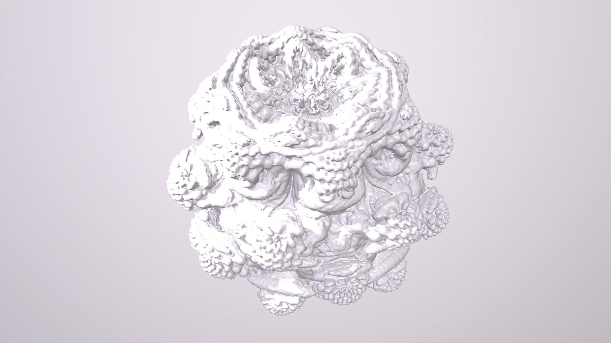 Bionic structures Organic Forms Figures Fractals