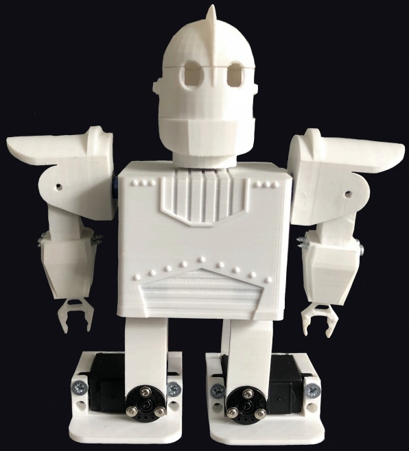 Micro-Humanoid Robot