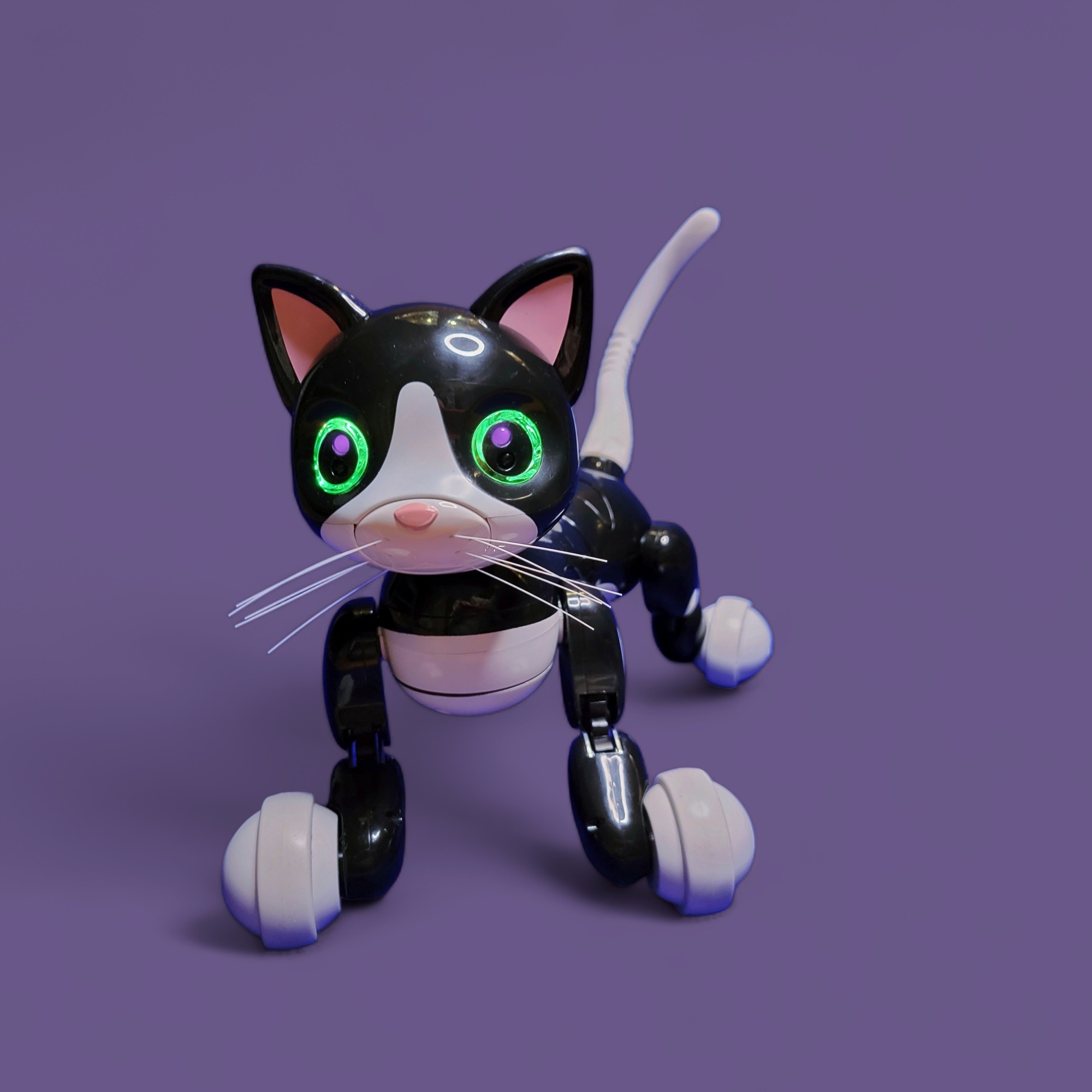ZOOMER KITTY TAIL