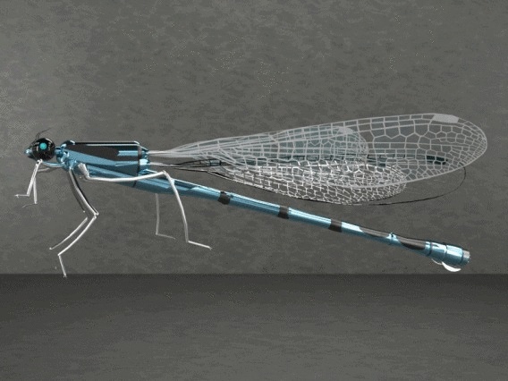 DAMSEIFLY CREATED IN PARTSOLUTIONS