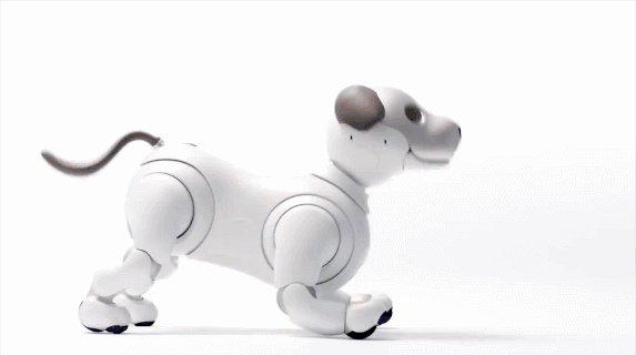 SUPORTE ALEXA ECHO POP CÃO ROBOT