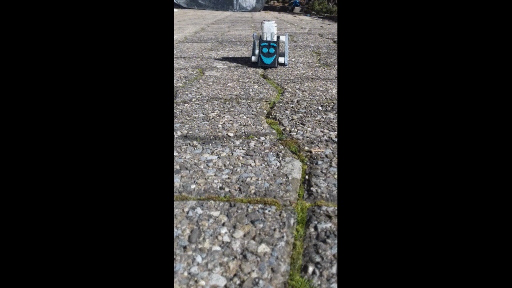 the walking robot