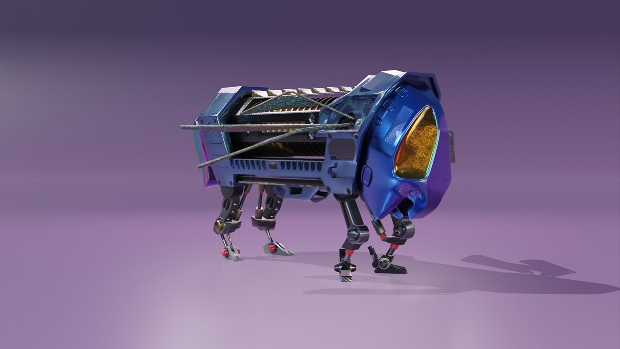 Insect