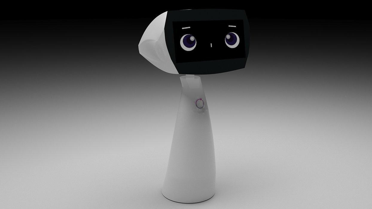Robin Robot