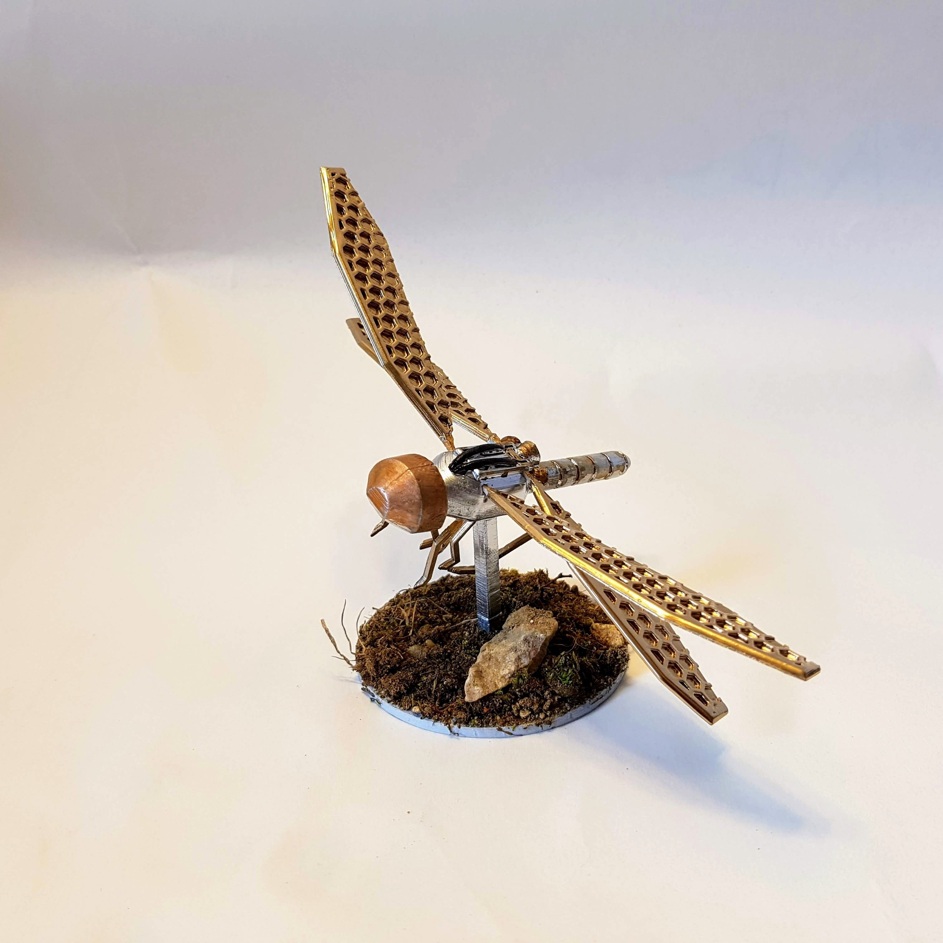DRAGONFLY DRONE