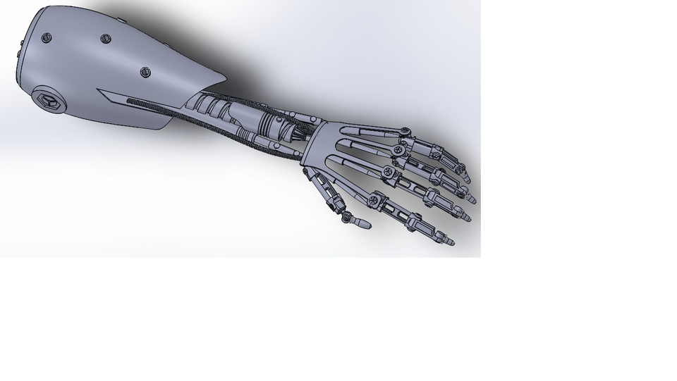 Terminator Arm