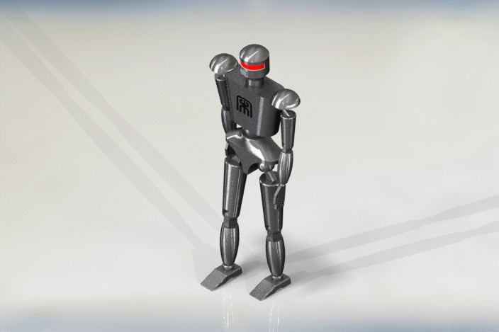 Humanoid Robot
