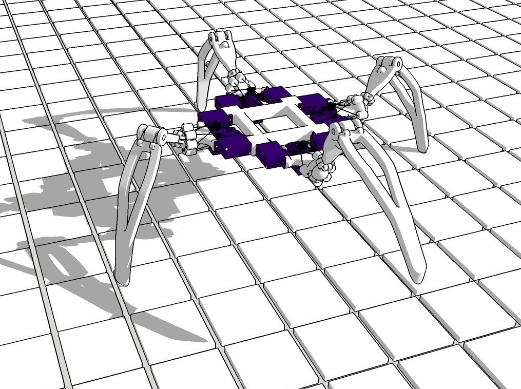 QUADRUPED