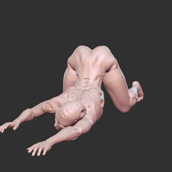 Cyberpunk Sex Doll 3D Print NSFW Model STL