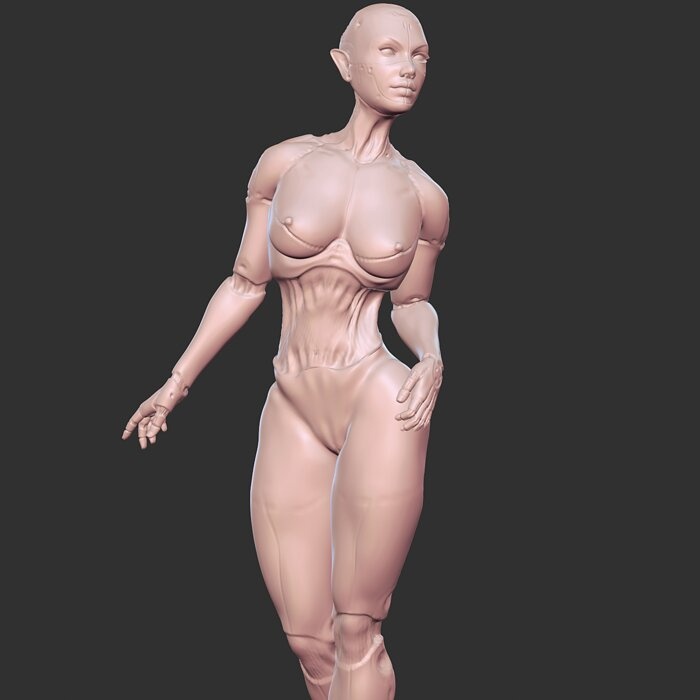 Hot Half-Robot Sci-Fi Babe 3D Model STL