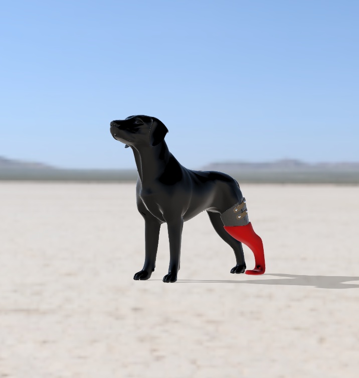 BIOMECHANICAL PROSTHESIS FOR DOG REAR LEFT LEG - BIOMECHANICAL PROSTHESIS FOR DOG REAR LEFT LEG