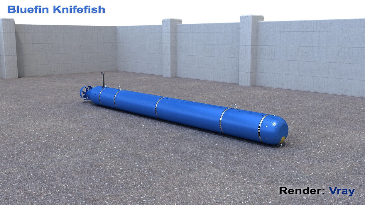 Bluefin Knifefish