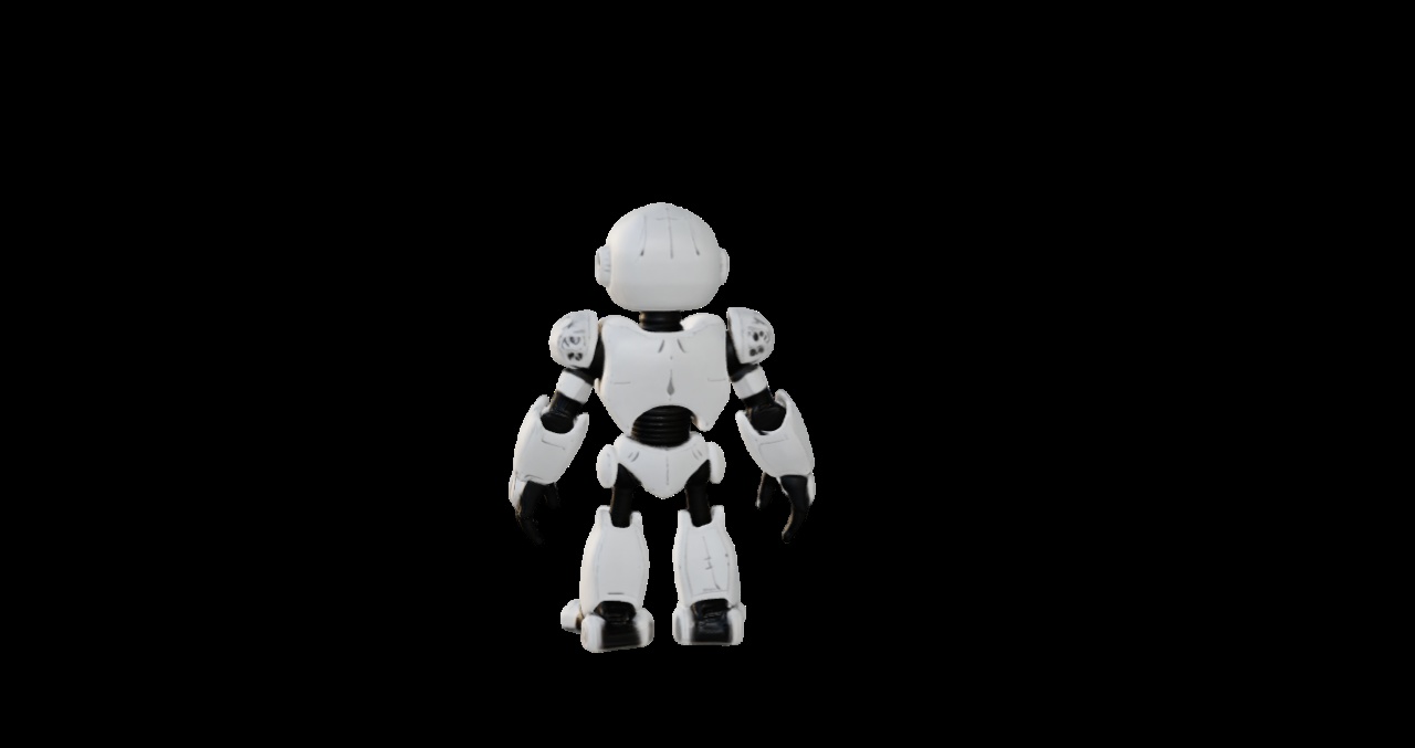 ROBOT MODEL