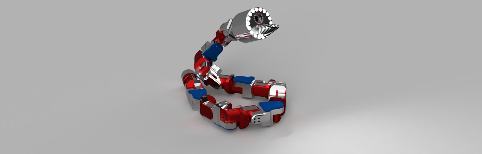 SNAKE ROBOT MODEL