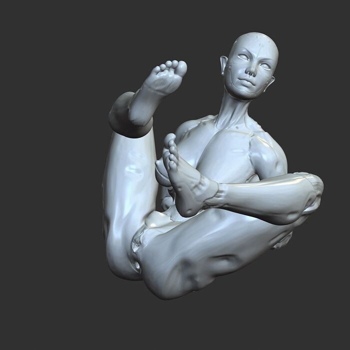 Futuristic Half-Robot Half-Woman Lewd 3D Model STL