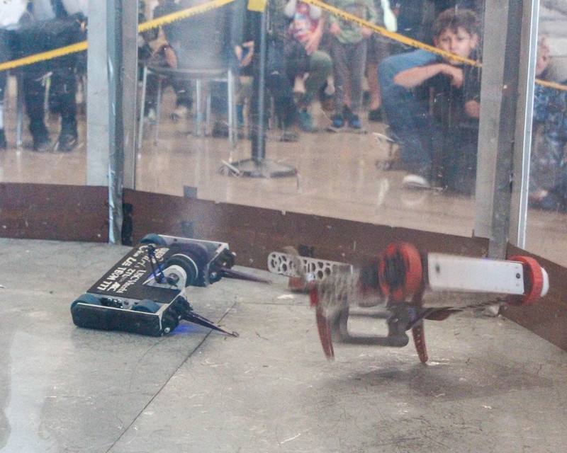 12 Pound Battlebot - Quee...
