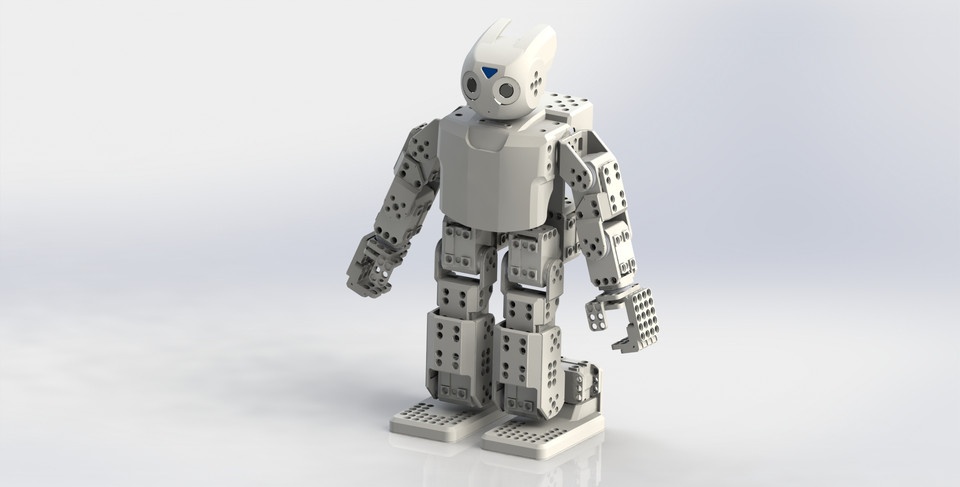 Darwin mini