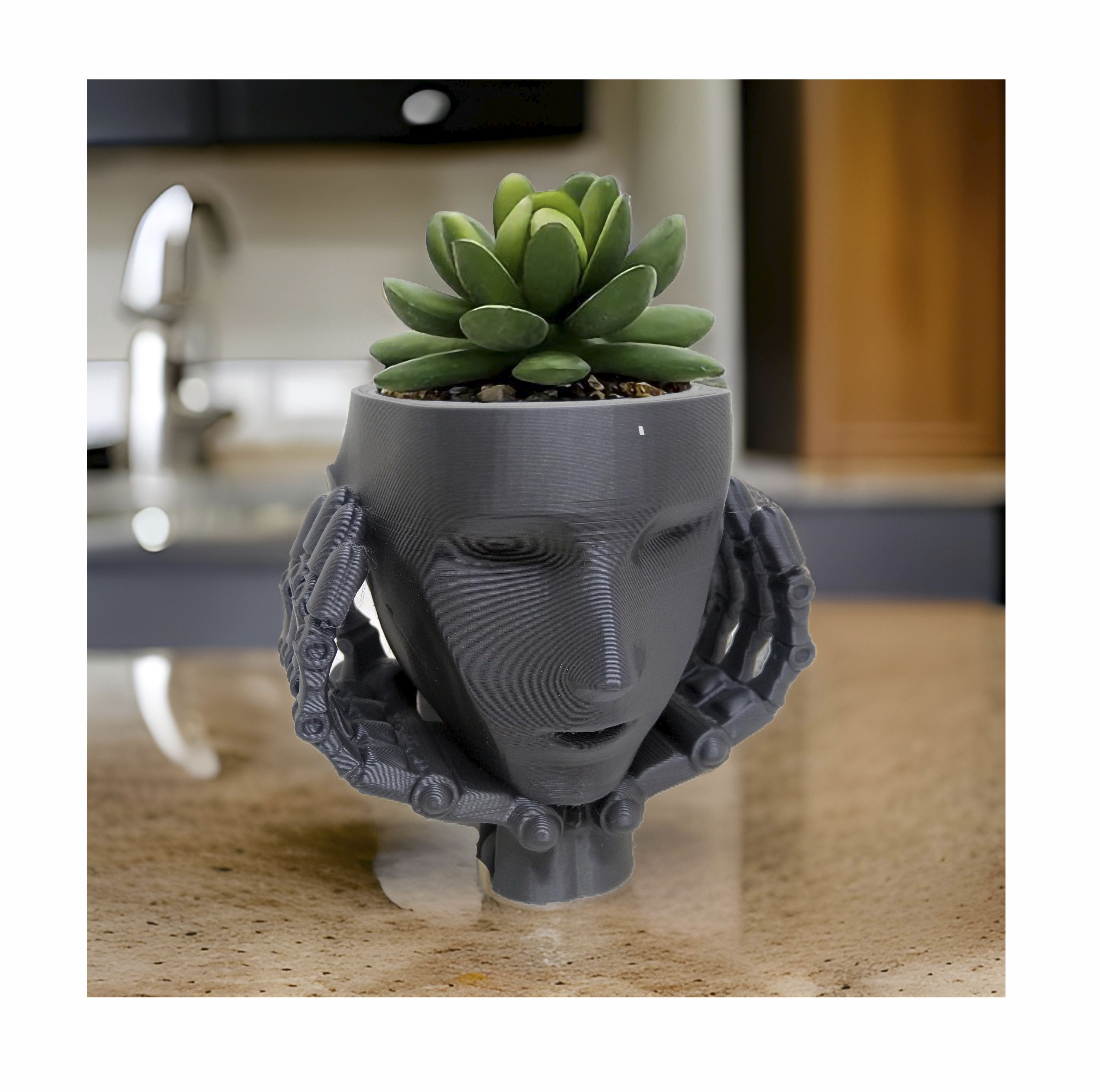 ROBOT FACE POT