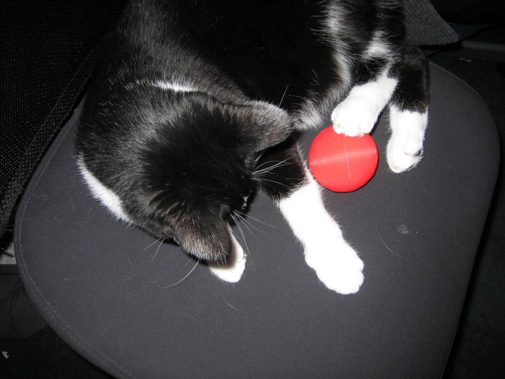 CAT FOOD BALL