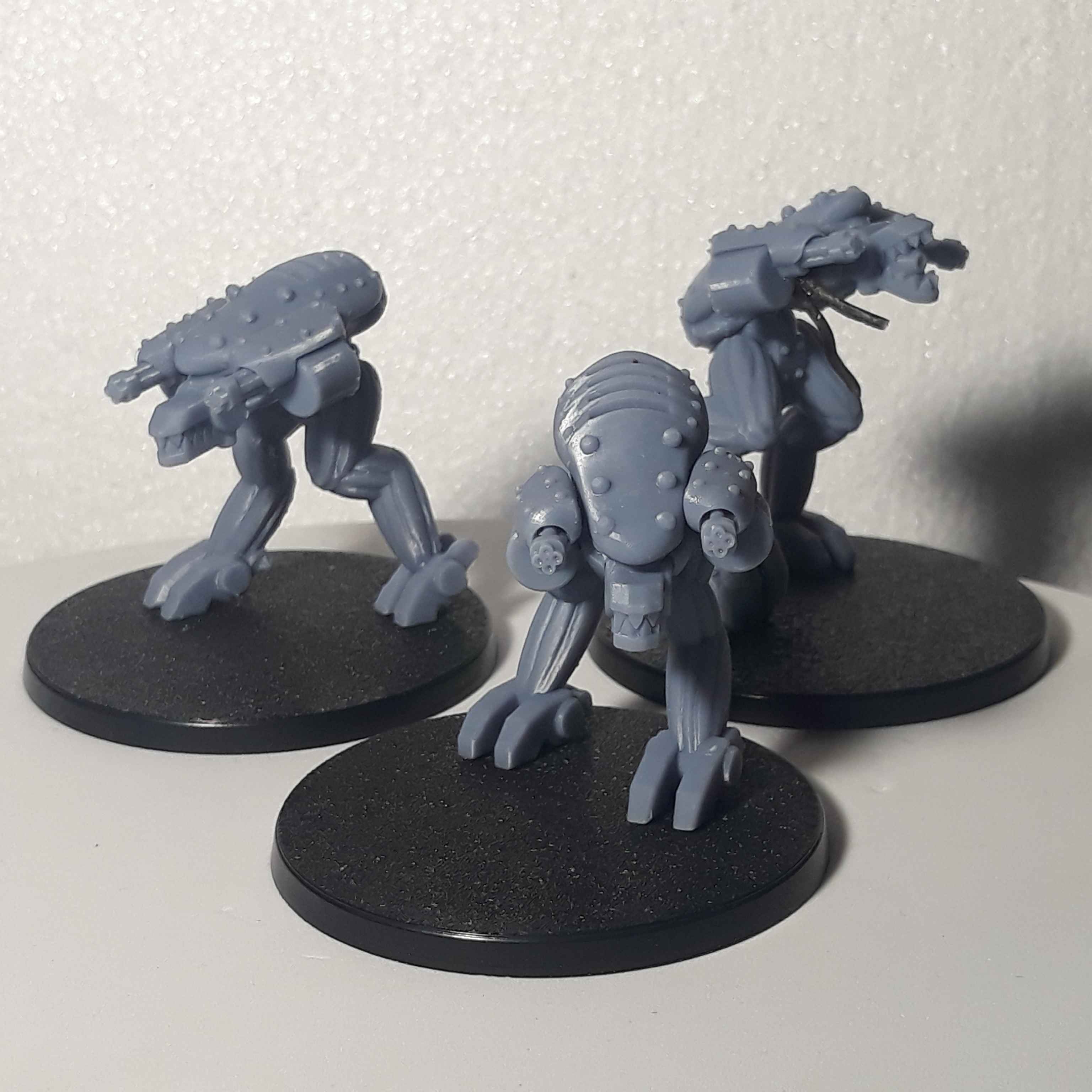 CRUSADER'S - TRENCH DOG
