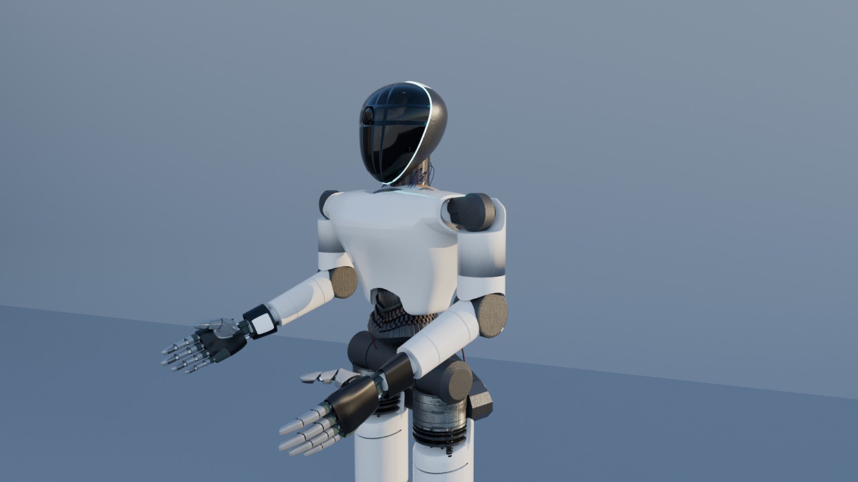Humanoid ROBOT