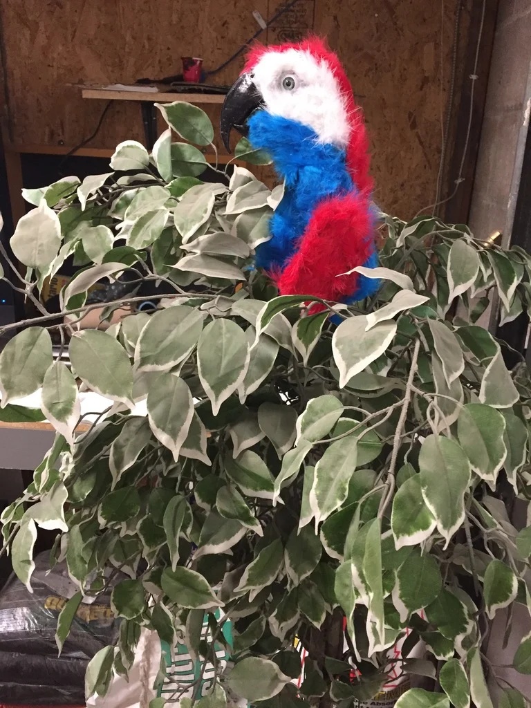 Niles the animatronic Parrot