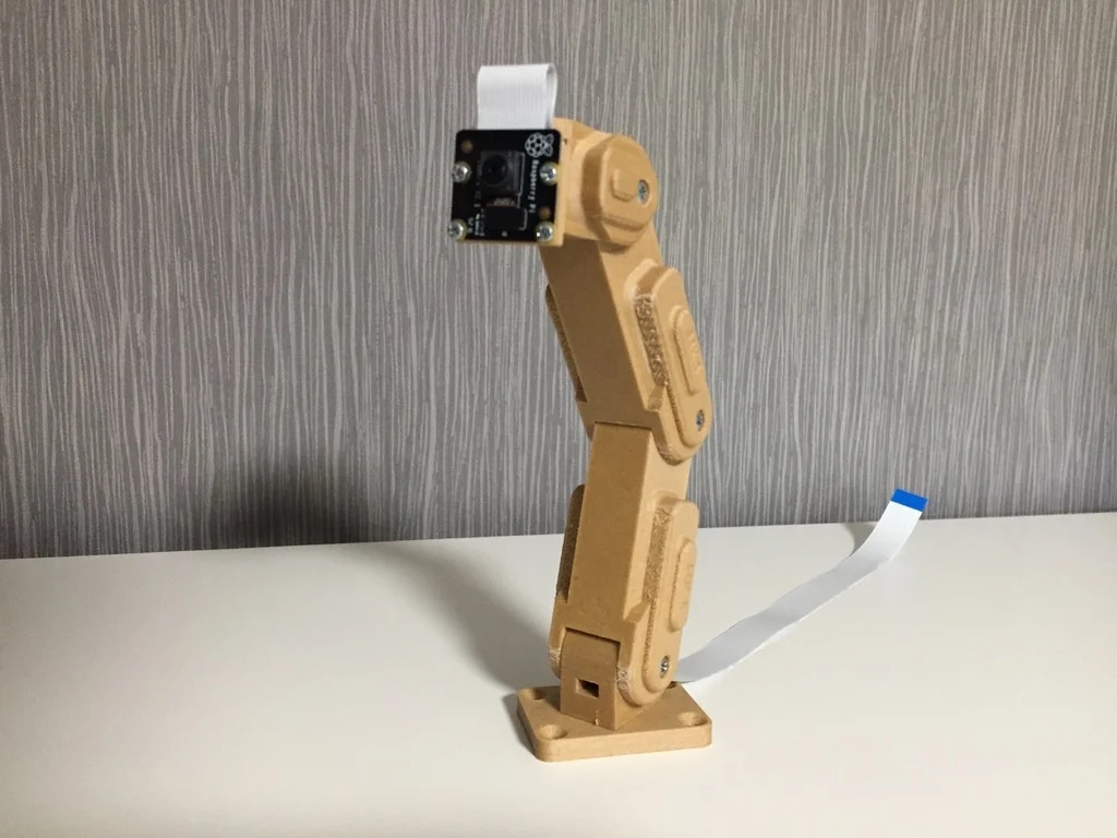 Raspberry Pi Camera Mount