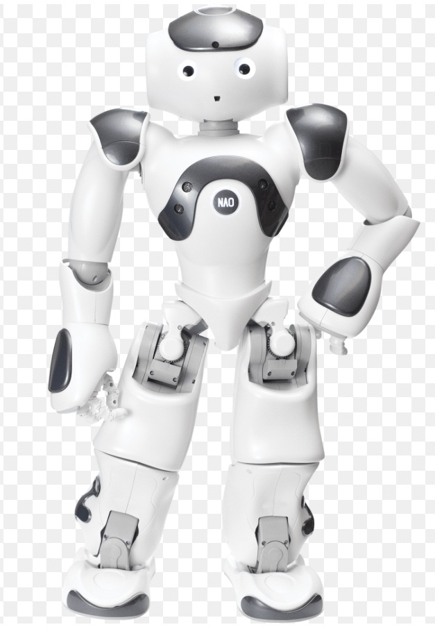 NIBO THE ROBOT