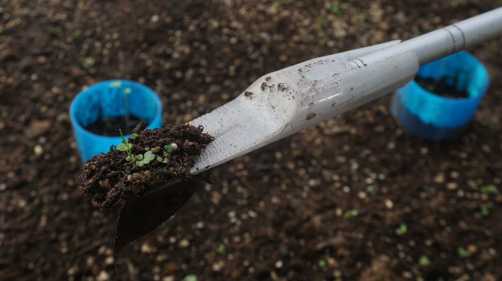 GARDEN PICKER