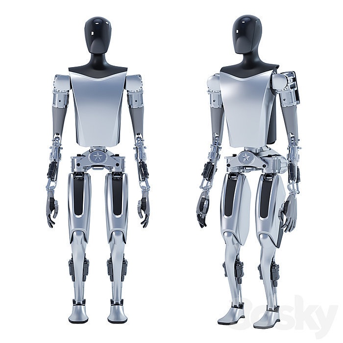 Tesla bot