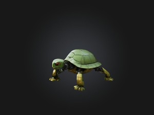RoboTurtle Model