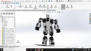 Humanoid Robot