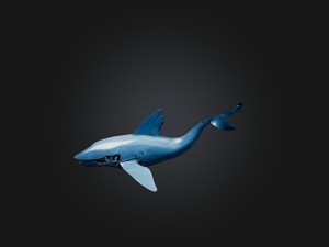 RoboWhale Model