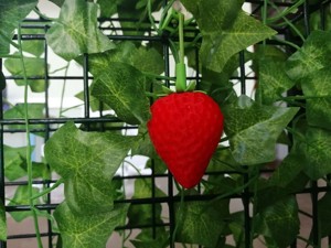 Magnetic strawberry