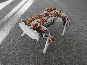 Robot dog, quadruped robot, 12DOF, 3DOF per leg