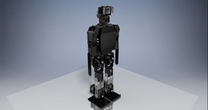 Rewa Humanoid Robot