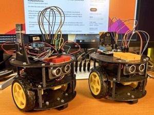 EduRobot Black Panther